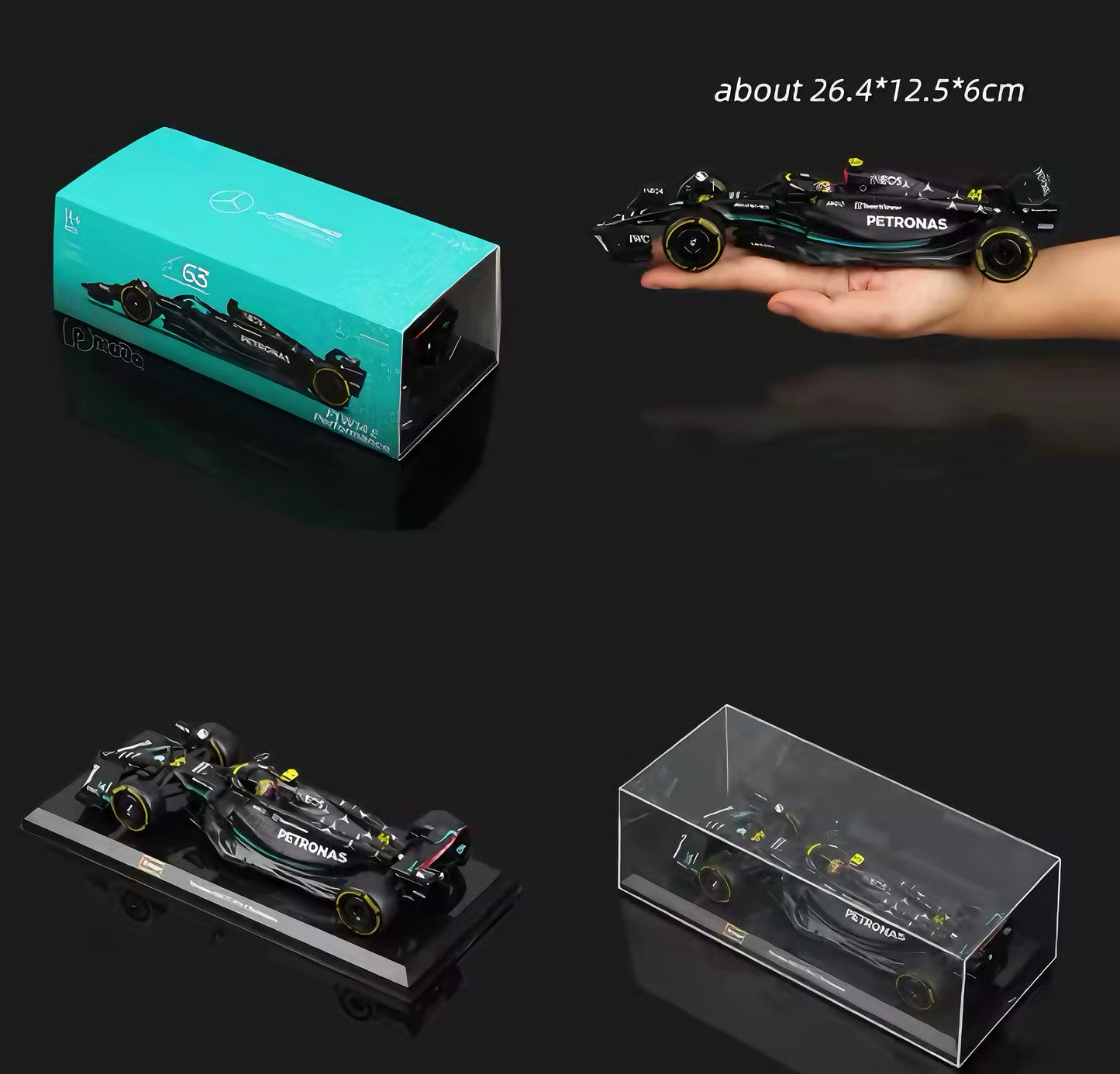 F1 Mercedes AMG (1:24 Scale)