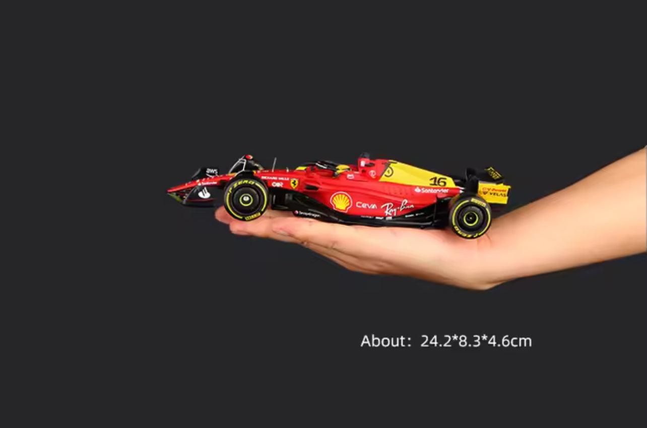 F1 Ferrari (1:24 Scale)